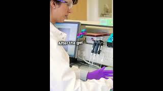 Agarose Gel Electrophoresis👍👍 [upl. by Gillan]