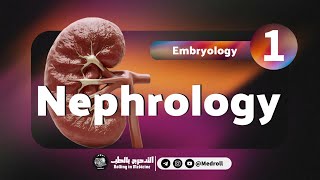 Renal Embryology Key Embryological Derivatives Explained  Medroll ft Dr TBSTB [upl. by Divaj]