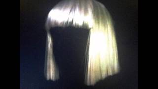 Sia  Burn The Pages Audio [upl. by Kalman945]