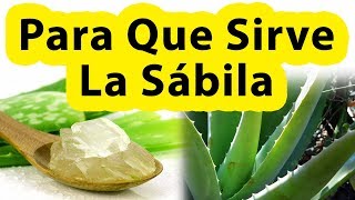 Beneficios De La Sabila Para Que Sirve La Sabila Tomada En La Piel o El Cabello QUE CURA LA SABILA [upl. by Gimpel]