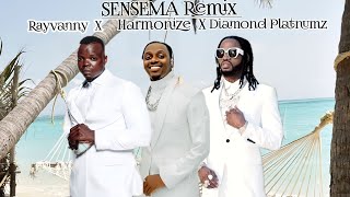 RAYVANNY FT HARMONIZE amp DIAMOND PLATNUMZ  SENSEMA Remix  OFFICIAL MUSIC VIDEO 2024 [upl. by Fe]