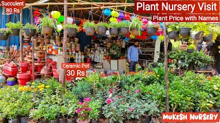 Plant Nursery Visit  Cheapest Plant Nursery  Plant Price with Names  Mukesh Nursery [upl. by Cyprus162]