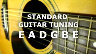 Guitar Tuner EADGBE Standard [upl. by Berny]