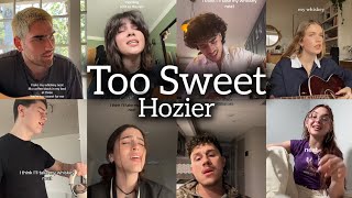 Who Sang It Better  Hozier  Too Sweet Covers TikTok Singing [upl. by Oneil600]