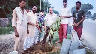 TREE PLANTATION BY BHARAT VIKAS PARISHED SOCIAL SERVICE ORGANIZATION GONIANA MANDI  BTI  PART  1 [upl. by Attener]