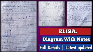 Elisa  Elisa test in hindi  Elisa test microbiology  Elisa test procedure  Elisa method [upl. by Arley351]