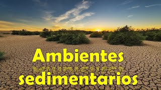 ambientes facies y estructuras sedimentarias [upl. by Margreta]