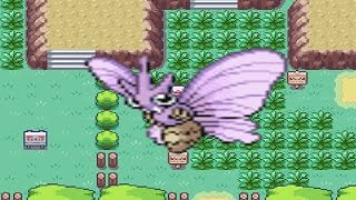 How to find Venomoth in Pokemon Fire Red and Leaf Green [upl. by Cini587]