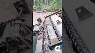 Peeling Bark Process craftsman machine craftrelaxing satisfying trending [upl. by Eillak]