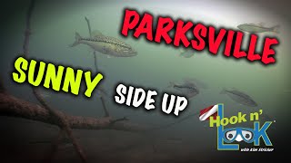 Parksville Sunny Side Up  FULL EPISODE [upl. by Eenttirb]