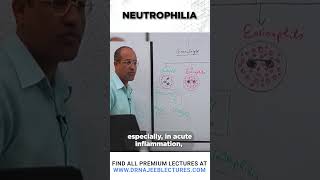 Neutrophilia drnajeeb shortvideo medicalstudent [upl. by Darelle]