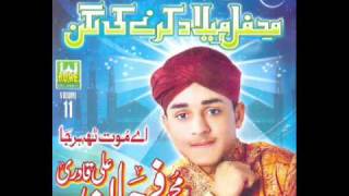 Farhan Ali Qadri 2011  Milad Karnay ki Lagan  Asan Preet Huzoor Nalwmv [upl. by Middendorf]