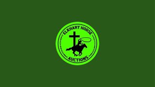 Elkhart Horse Auctions is live Horse Sale 10282023 [upl. by Corine30]