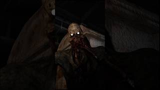 STALKER isnt scary at all STALKER StalkerGame StalkerShorts Gaming [upl. by Thorndike]