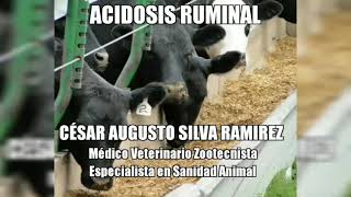 Acidosis Ruminal [upl. by Ettena]