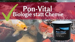 PonVital Biologie statt Algenvernichter für den Teich [upl. by Benil680]