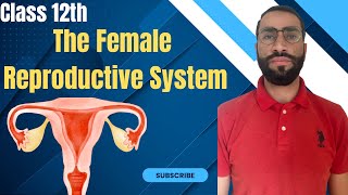 The Female Reproductive System  Human Reproduction NEET Biology [upl. by Anahpos]