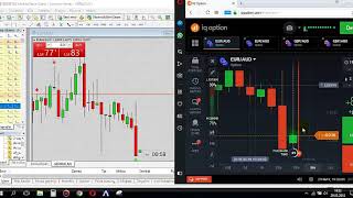 IQ Option REAL Tradings with 1 Minute Template [upl. by Sterling419]