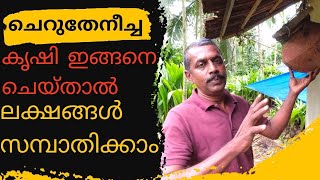 ഇങ്ങനെ വേണം ചെറുതേനീച്ച കൃഷി ചെയ്യാൻ  Small honey Bee Farming  Stingless bee farming malayalam [upl. by Grim816]