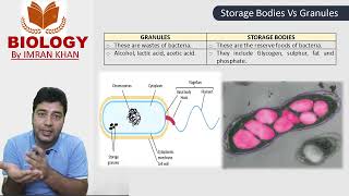 Inclusions in Bacteria Storage Bodies Granules [upl. by Leinod839]