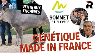 Génétique made in France  la vente aux enchères du Sommet de lélevage [upl. by Akitahs]