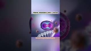 Monkey pox virus 🦠 trending viralvideo biology celltheunitoflife science [upl. by Pantin]