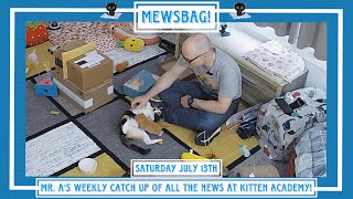 Mewsbag  Saturday July 13th [upl. by Strohl]