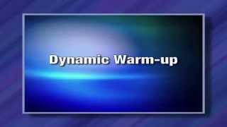 8 simple dynamic warmup exercises [upl. by Anaet791]