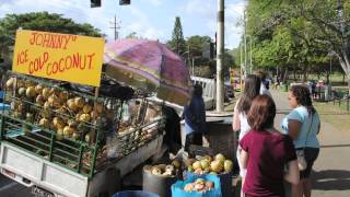 Widener University Trinidad and Tobago Field Study [upl. by Brookhouse]