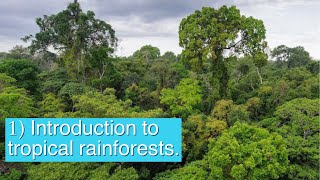 Introduction to tropical rainforests  AQA GCSE Geography Unit 1B [upl. by Damalas383]