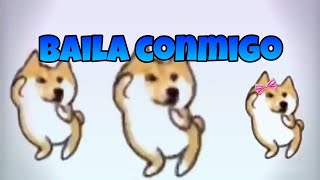 🐶Perritos bailando quotBaila conmigoquot🐶 [upl. by Aldwin]