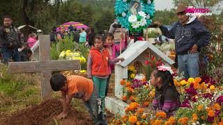 Dia Muertos en Michoacán [upl. by Lamaaj]