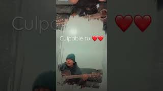 Culpable tu alta consigna cover [upl. by Yrotciv]