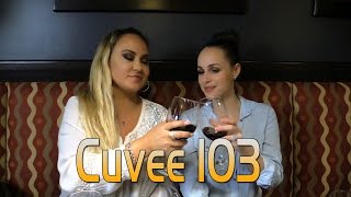 Cuvee 103 Wine Bar amp Restaurant Clearwater Florida AMAZING [upl. by Llerat]