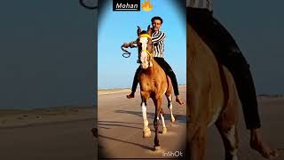 Horse race 🐎👑🔥subscribe shortvideo song shorts youtube youtubeshorts [upl. by Eiramana]