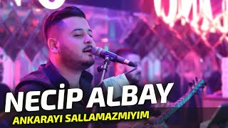 Necip Albay  Ankarayı Sallamazmıyım amp Canımın İçindesin [upl. by Paton]