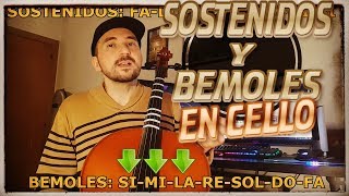 🎻 Cómo Hacer Sostenidos y Bemoles en Violonchelo [upl. by Nilyarg]