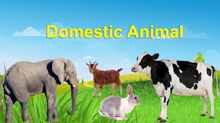 DOMESTIC ANIMALS  Learn Domestic Animals Sounds and Names For Children Kids And Toddlers [upl. by Margie848]