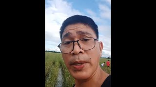 Ang Pagbabalik ng Probinsyano quotBertese Boyquot PART 3 VLOG 30 [upl. by Radnaxela709]