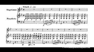 Erlkönig  Original Key  Piano Accompaniment [upl. by Monti]