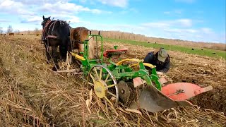 PLOWING PROBLEMS  Draft Horses Plowing our Corn Field 555 [upl. by Eselahs315]