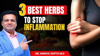 Reduce Inflammation Quickly  3 Secret Herbs [upl. by Ynnep]