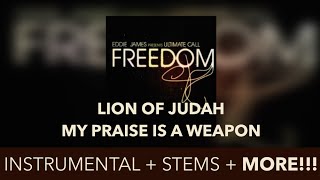 LION OF JUDAH EDDIE JAMES  INSTRUMENTAL [upl. by Hceicjow]