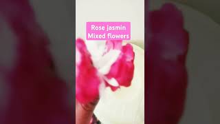 Rose jasmine mixed flowers beautiful flowers yt shorts trending subscribe [upl. by Iman]