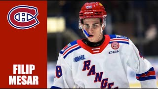 NHL Prospects  Filip Mesar  2324 Highlights [upl. by Yaya]