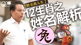 【兔】十二生肖之姓名解析｜姓名與人生｜全球風水易經姓名學大師張定瑋 [upl. by Tiffi]