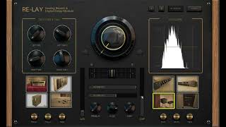 ReLay Analog Reverb and Delay VST  AU Overview [upl. by Enttirb]
