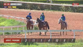 Live Hippodrome « MEKNES »  Courses du «07032024 » [upl. by Candice]