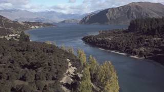 Mountain biking Deans Bank Lake Wanaka New Zealand [upl. by Grenier]