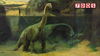 Were Dinosaurs Too Big To Walk On Land  7 Days of Science [upl. by Ahsiyt]